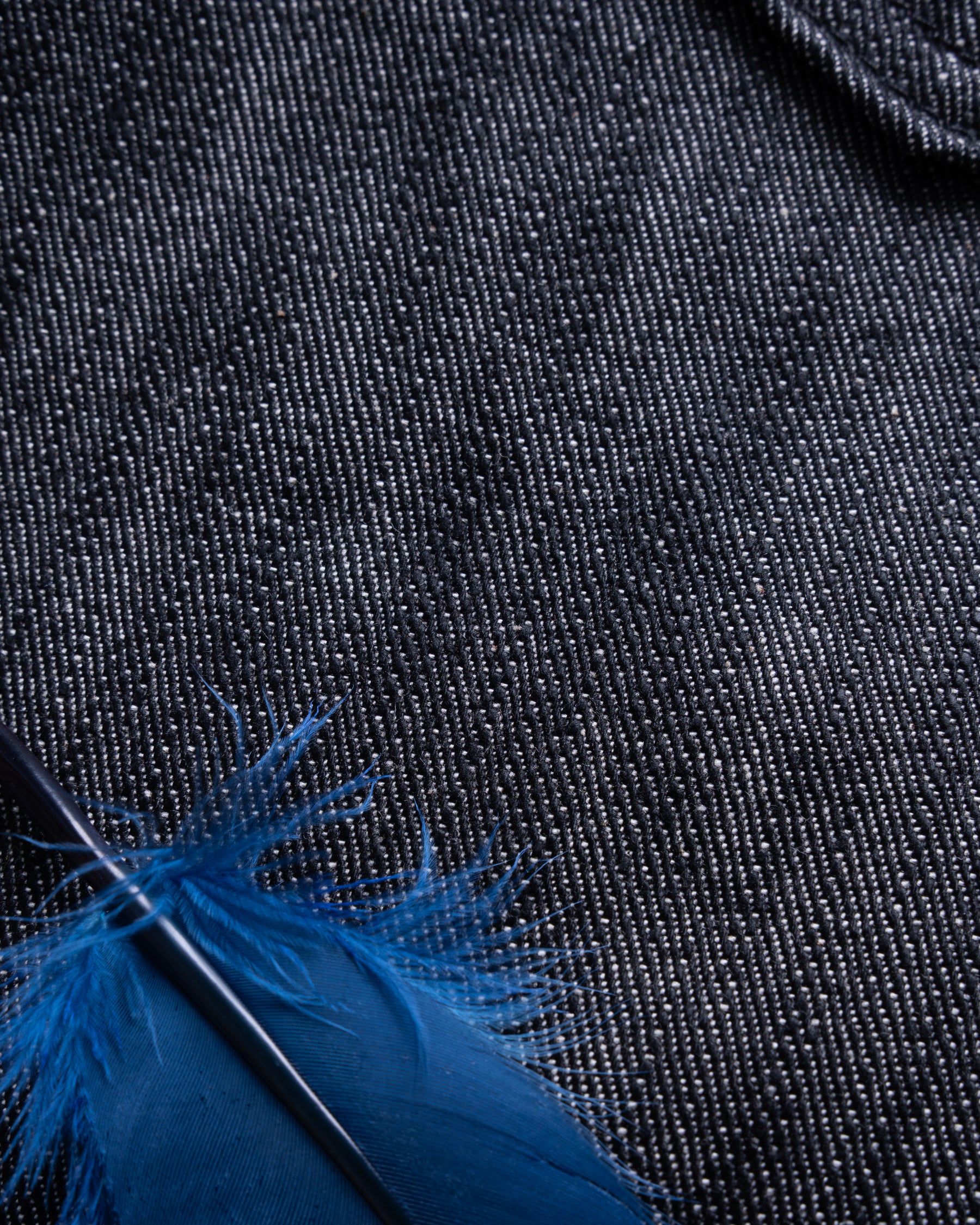 Double Capsule: Naked & Famous × Blue Owl Collaboration